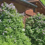 Haus Meikl *