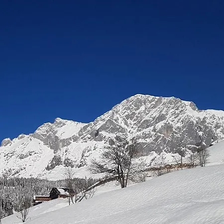 Haus Meikl 公寓 Mühlbach am Hochkönig