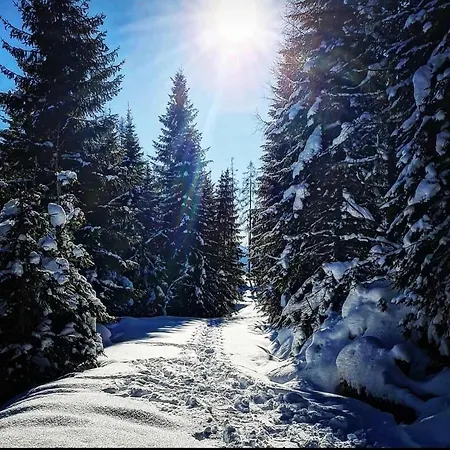 Haus Meikl Mühlbach am Hochkönig