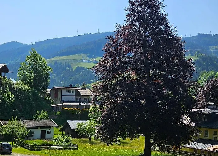 Haus Meikl Διαμέρισμα *