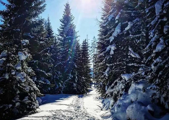Haus Meikl Mühlbach am Hochkönig